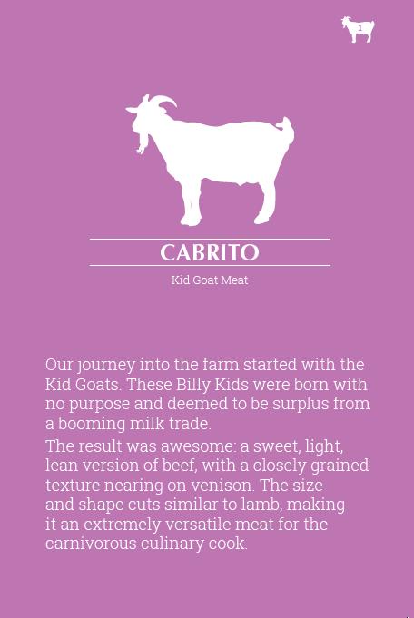 cabito example page cookbook