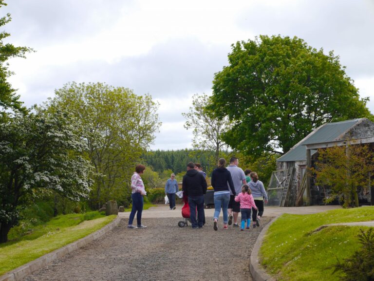 open farm weekend northern ireland broughgammon farm north coast farm open sustainable farm scaled