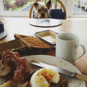 broughgammon breakfast goat bacon