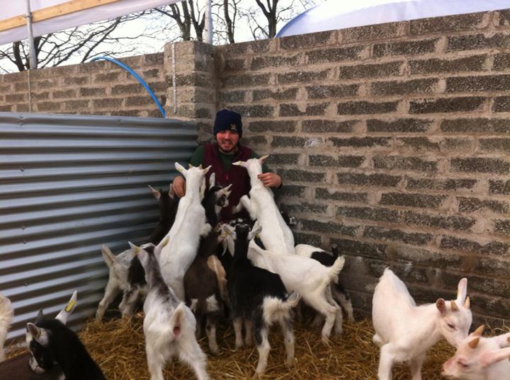 Goats just love Charlie