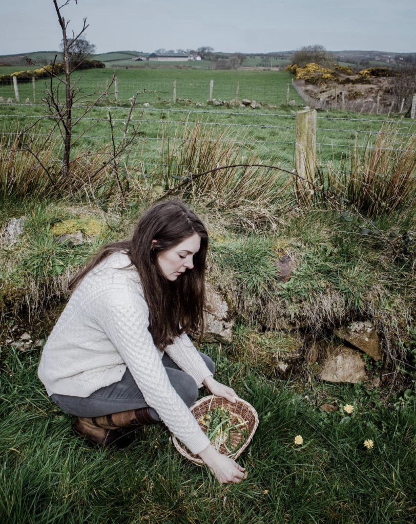 foraging class northern ireland