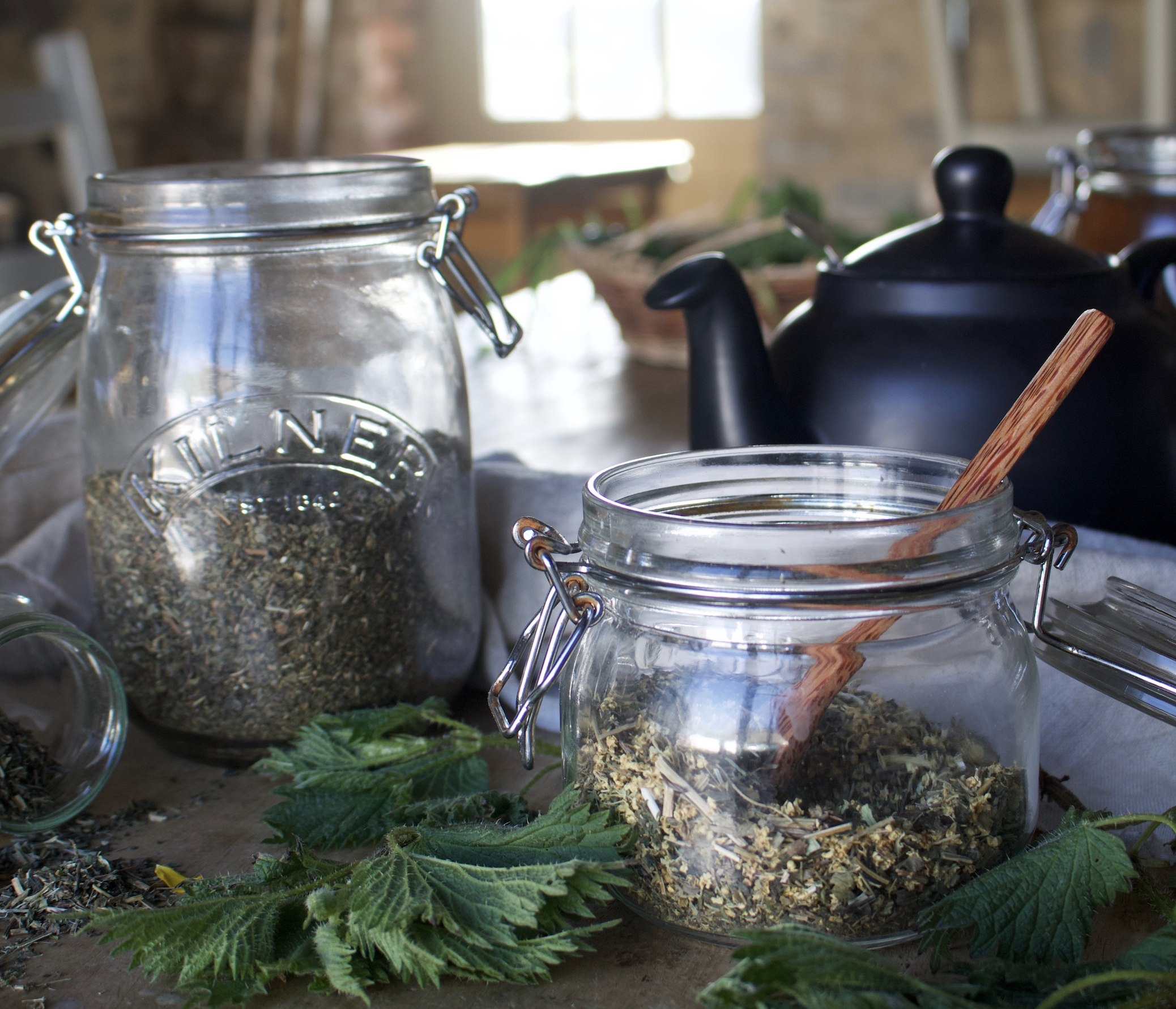 nettle tea herbalism foraging classes northern ireland