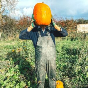 halloween farm ballycastle antrim pumpkin picking