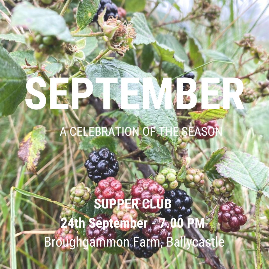 september supper club