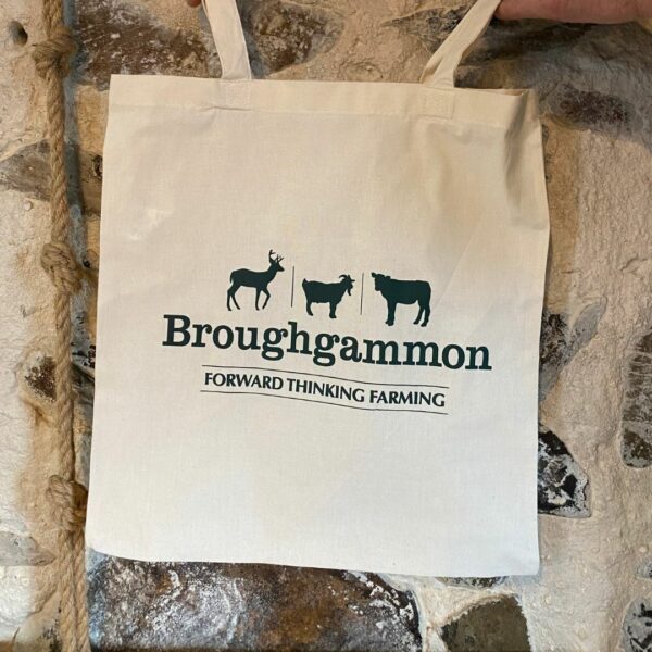Broughgammon Tote