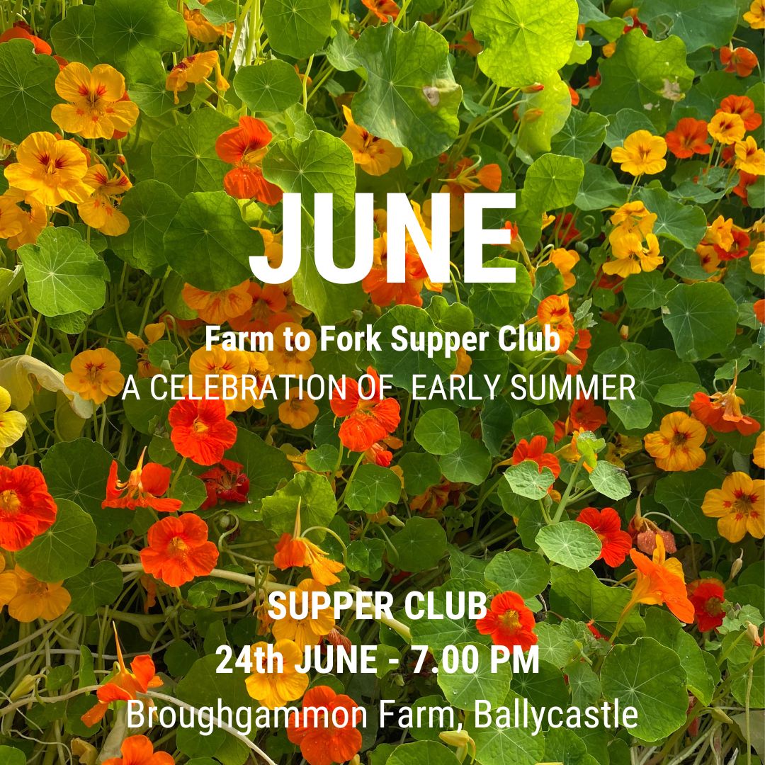 June farm to fork supper club regenerative northern ireland