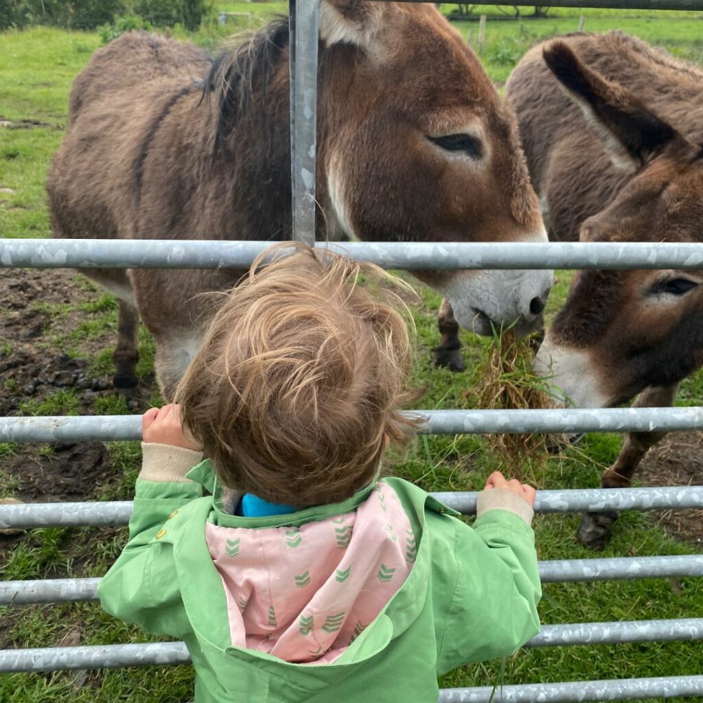 farm kids club ballycastle