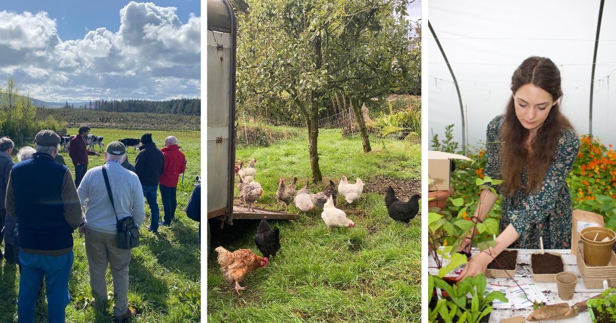 farm to fork tours immersive northern ireland things to do antrim