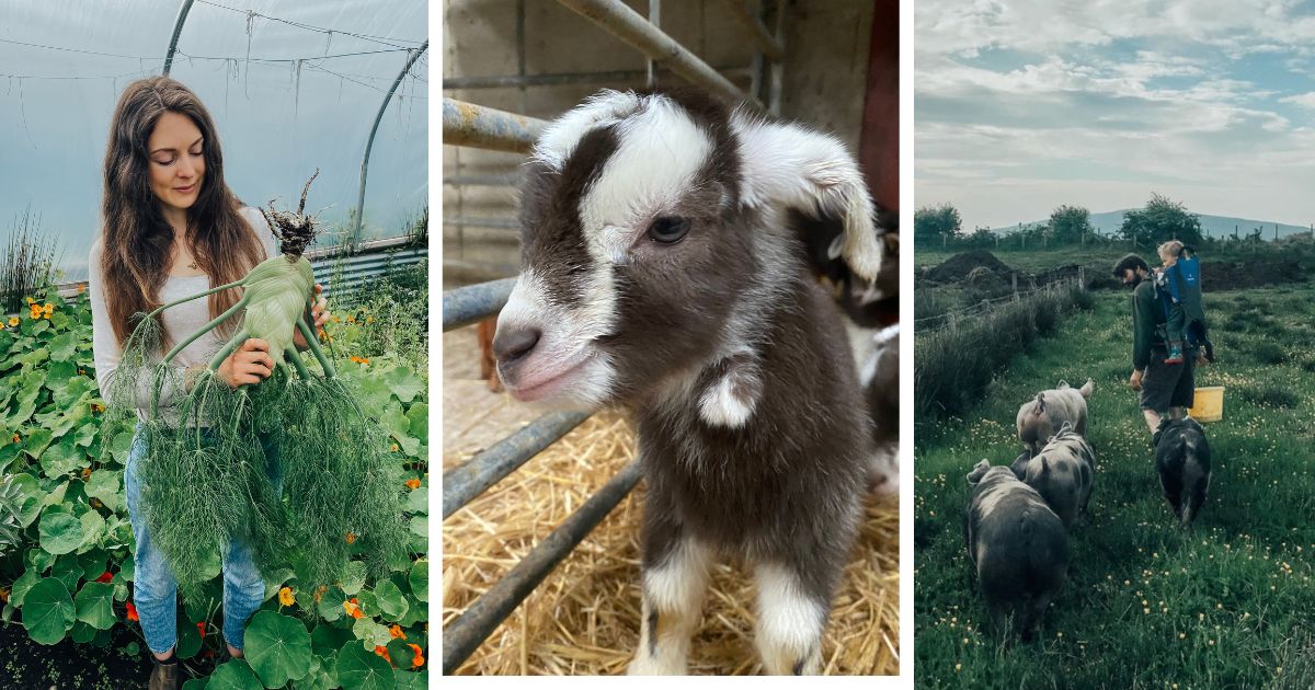 farm to fork tours tourism northern ireland visit antrim activities