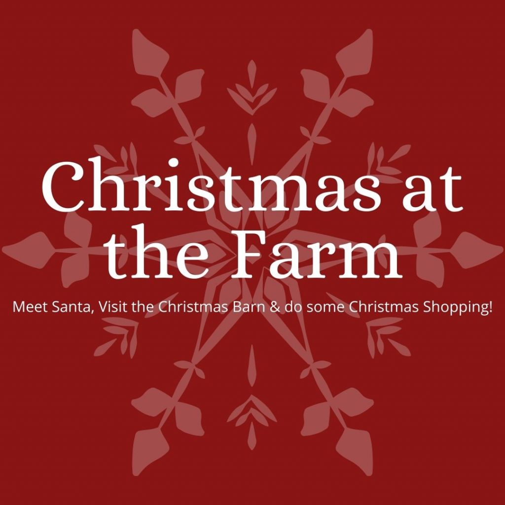 Christmas on the farm