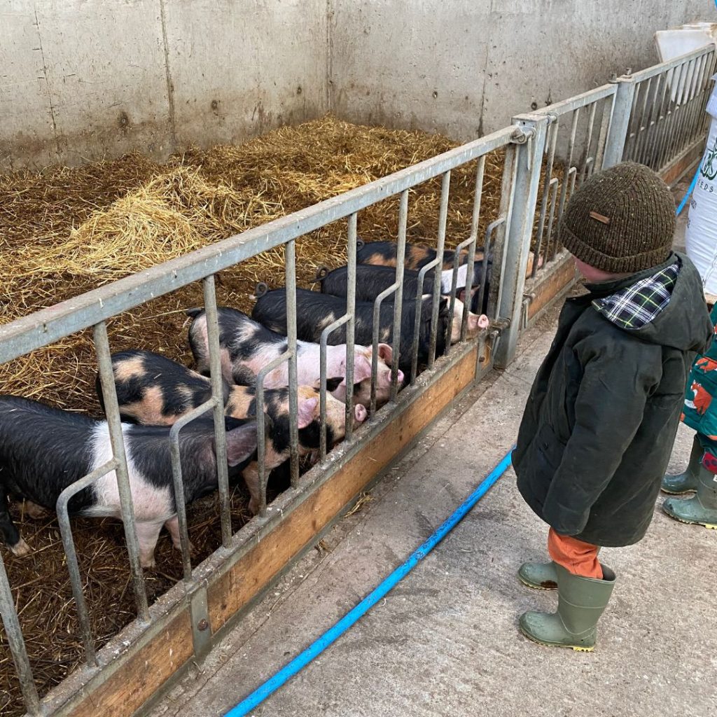 farm school broughgammon