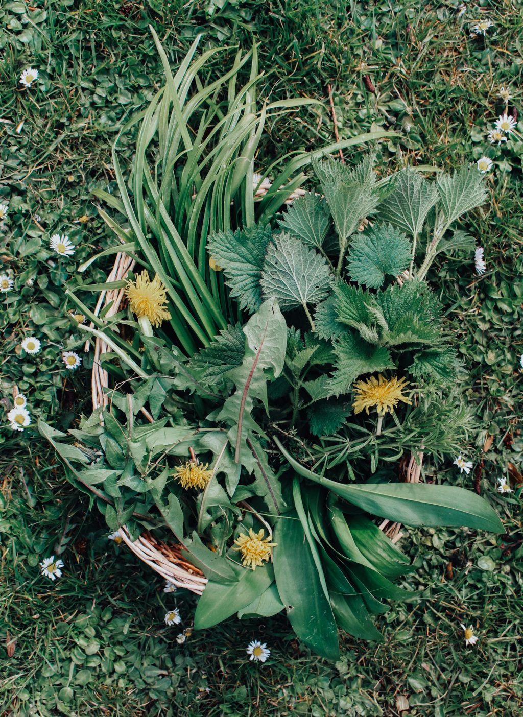 spring foraging basket